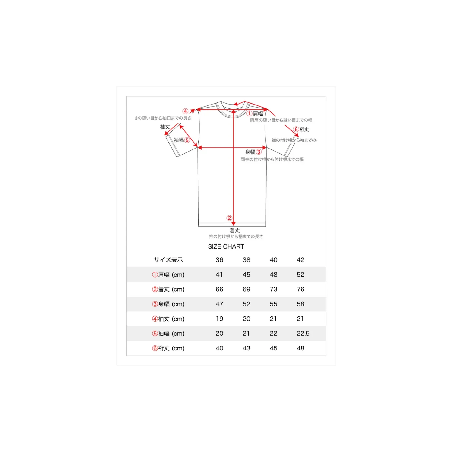 DRY BONES BURBANK SPEEDWAY - WHITE - Image 4
