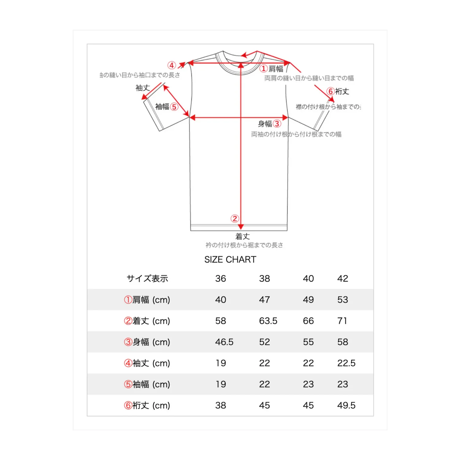 DRY BONES HABERD ASHERY - NATURAL - Image 5